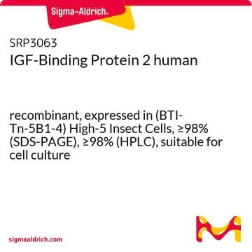 IGF-Binding Protein 2 human recombinant, expressed in (BTI-Tn-5B1-4) High-5 Insect Cells, &#8805;98% (SDS-PAGE), &#8805;98% (HPLC), suitable for cell culture