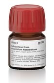 Collagenase from Clostridium histolyticum Type IV, Vetec&#8482;, reagent grade, powder, &#8805;160&#160;CDU/mg solid