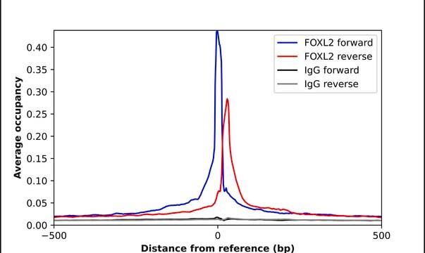 Anti-FOXL2 antibody produced in rabbit Prestige Antibodies&#174; Powered by Atlas Antibodies, affinity isolated antibody, buffered aqueous glycerol solution
