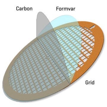 Formvar/Carbon Supported Gold Grids size 100&#160;mesh, box of 25 ×