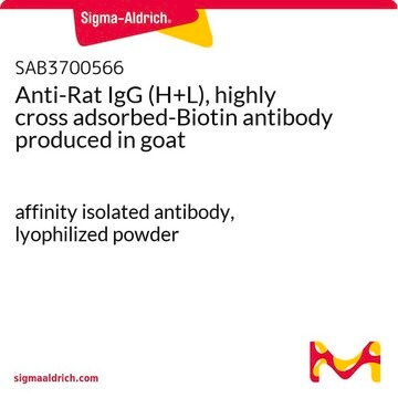 Anti-Rat IgG (H+L), highly cross adsorbed-Biotin antibody produced in goat affinity isolated antibody, lyophilized powder