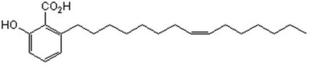 Ginkgolic Acid (15:1) A cell-permeable anacardic acid analog that inhibits protein SUMO .