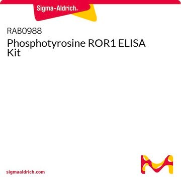 Phosphotyrosine ROR1 ELISA Kit