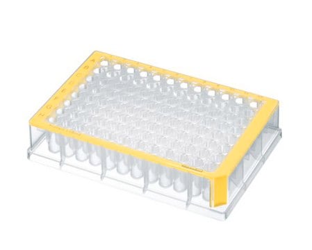 Eppendorf&#174; Deepwell plates, Protein LoBind, 96 wells yellow plate, conical bottom, colorless wells, capacity 500&#160;&#956;L, pkg of 40&#160;ea (5 bags × 8 plates)