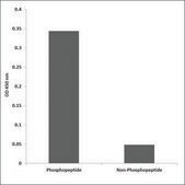 Anti-phospho-FGFR1 (pTyr654) antibody produced in rabbit affinity isolated antibody