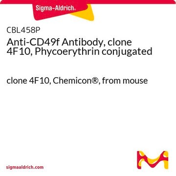 Anti-CD49f Antibody, clone 4F10, Phycoerythrin conjugated clone 4F10, Chemicon&#174;, from mouse