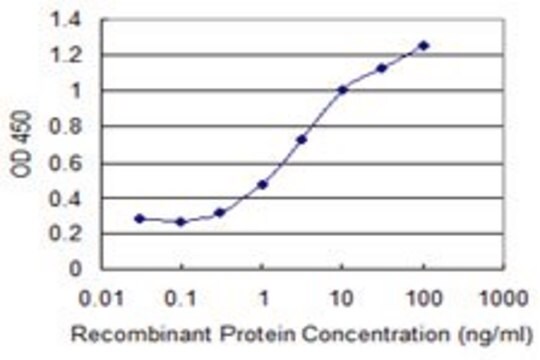 Monoclonal Anti-RBM15 antibody produced in mouse clone 2C1, purified immunoglobulin, buffered aqueous solution