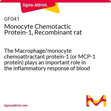 Monocyte Chemotactic Protein-1, Recombinant rat The Macrophage/monocyte chemoattractant protein-1 (or MCP-1 protein) plays an important role in the inflammatory response of blood monocytes &amp; tissue macrophages.