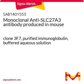 Monoclonal Anti-SLC27A3 antibody produced in mouse clone 3F7, purified immunoglobulin, buffered aqueous solution