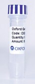 PSF-OXB20-BETAGAL - BACTERIAL BETA GALACTOSIDASE PLASMID plasmid vector for molecular cloning