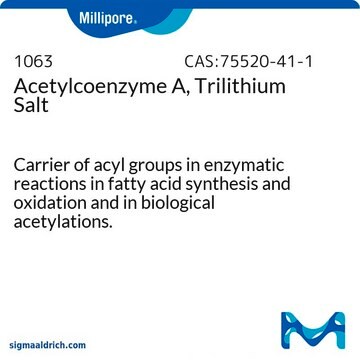 Acetylcoenzyme A, Trilithium Salt Carrier of acyl groups in enzymatic reactions in fatty acid synthesis and oxidation and in biological acetylations.