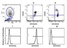 Anti-MS4A4A Antibody, clone 3F2 clone 3F2, from mouse
