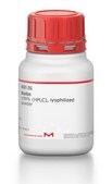 ビオチン &#8805;99% (HPLC), lyophilized powder