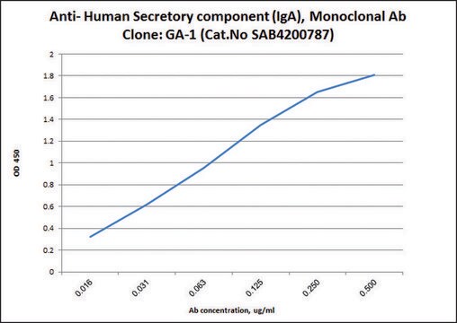 Anti-Secretory Component (IgA) antibody, Mouse monoclonal clone GA-1, purified from hybridoma cell culture