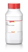 Cellulose microcrystalline, powder