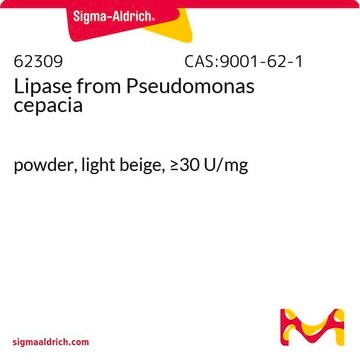 Lipase from Pseudomonas cepacia powder, light beige, &#8805;30&#160;U/mg