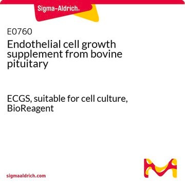 Endothelial cell growth supplement from bovine pituitary ECGS, suitable for cell culture, BioReagent