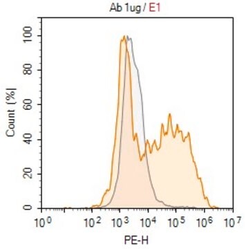 Anti-Cas9 Antibody, clone 7A9 ZooMAb&#174; Mouse Monoclonal recombinant, expressed in HEK 293 cells