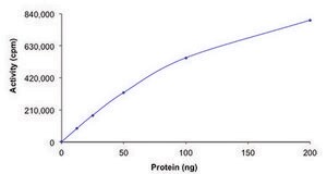 LYN A, active, GST tagged human PRECISIO&#174;, recombinant, expressed in baculovirus infected Sf9 cells, &#8805;70% (SDS-PAGE), buffered aqueous glycerol solution