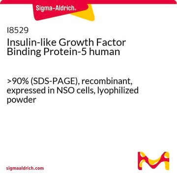 Insulin-like Growth Factor Binding Protein-5 human &gt;90% (SDS-PAGE), recombinant, expressed in NSO cells, lyophilized powder