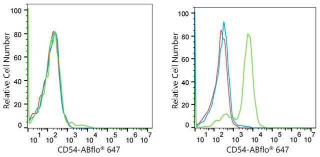 Anti-ICAM-1/CD54 Antibody, clone 2G8Z5, Rabbit Monoclonal