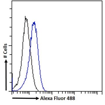 Anti-RGS14 antibody produced in goat affinity isolated antibody, buffered aqueous solution