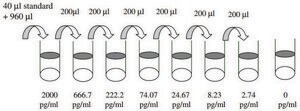 Rat Fractalkine ELISA Kit for serum, plasma and cell culture supernatant