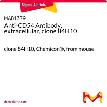 Anti-CD54 Antibody, extracellular, clone 84H10 clone 84H10, Chemicon&#174;, from mouse