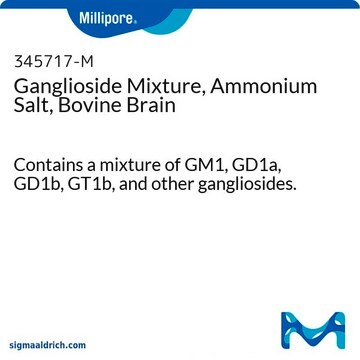 Ganglioside Mixture, Ammonium Salt, Bovine Brain Contains a mixture of GM1, GD1a, GD1b, GT1b, and other gangliosides.