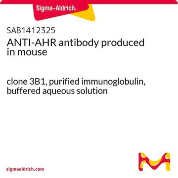 ANTI-AHR antibody produced in mouse clone 3B1, purified immunoglobulin, buffered aqueous solution