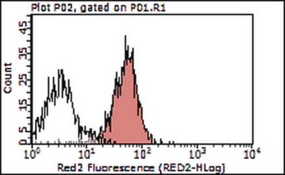 Anti-OX40L (CD252) Antibody, clone RM134L clone RM134L, from rat