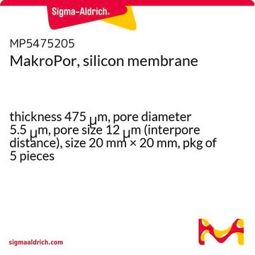 MakroPor, silicon membrane thickness 475&#160;&#956;m, pore diameter 5.5&#160;&#956;m, pore size 12&#160;&#956;m (interpore distance), size 20&#160;mm × 20&#160;mm, pkg of 5&#160;pieces