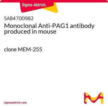 Monoclonal Anti-PAG1 antibody produced in mouse clone MEM-255