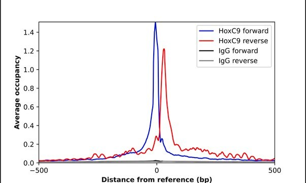 Anti-HOXC9 antibody produced in rabbit Prestige Antibodies&#174; Powered by Atlas Antibodies, affinity isolated antibody