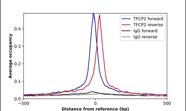 Anti-TFCP2 antibody produced in rabbit Prestige Antibodies&#174; Powered by Atlas Antibodies, affinity isolated antibody