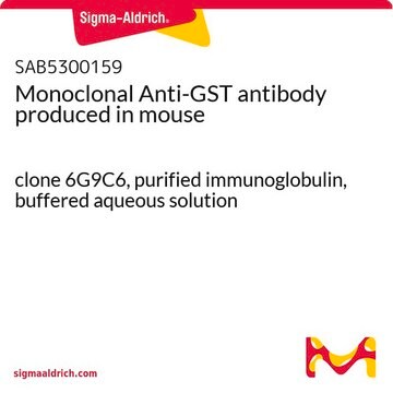 Monoclonal Anti-GST antibody produced in mouse clone 6G9C6, purified immunoglobulin, buffered aqueous solution