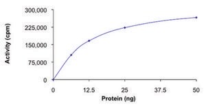 MEKK1 (664-1512), active, GST tagged human PRECISIO&#174; Kinase, recombinant, expressed in baculovirus infected Sf9 cells, &#8805;70% (SDS-PAGE), buffered aqueous glycerol solution