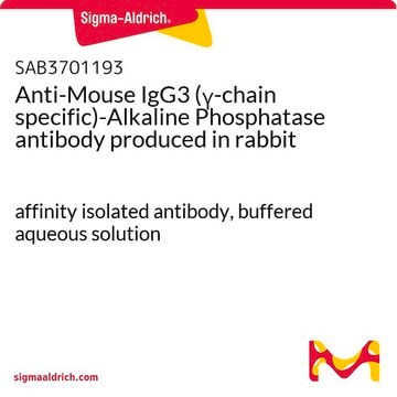 Anti-Mouse IgG3 (&#947;-chain specific)-Alkaline Phosphatase antibody produced in rabbit affinity isolated antibody, buffered aqueous solution