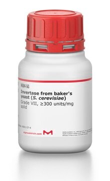 Invertase from baker’s yeast (S.&#160;cerevisiae) Grade VII, &#8805;300&#160;units/mg solid