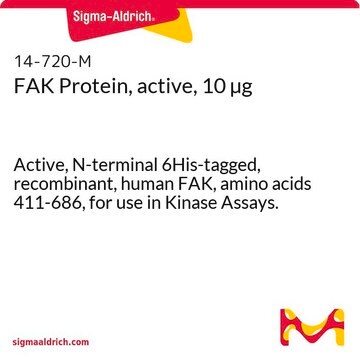 FAK Protein, active, 10 &#181;g Active, N-terminal 6His-tagged, recombinant, human FAK, amino acids 411-686, for use in Kinase Assays.