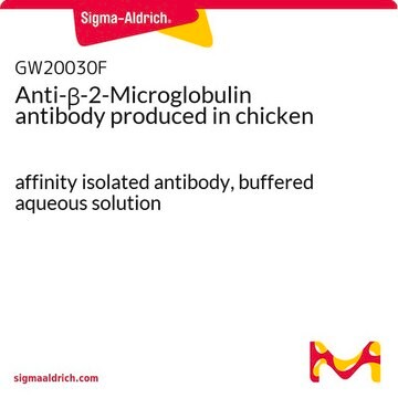 Anti-&#946;-2-Microglobulin antibody produced in chicken affinity isolated antibody, buffered aqueous solution