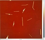 Silver nanowires diam. × L 200 &#160;nm × 10&#160;&#956;m, 0.5% (isopropyl alcohol suspension)