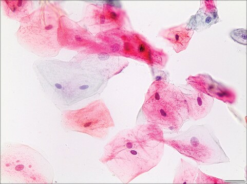 Papanicolaou Stain, Modified EA 65