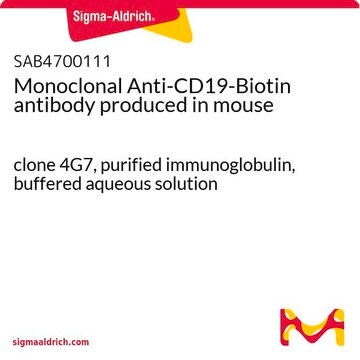 Monoclonal Anti-CD19-Biotin antibody produced in mouse clone 4G7, purified immunoglobulin, buffered aqueous solution