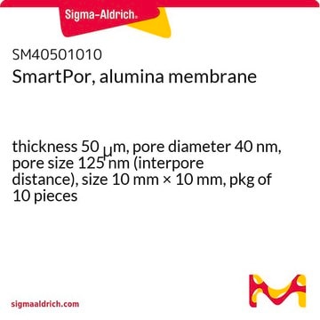 SmartPor, alumina membrane thickness 50&#160;&#956;m, pore diameter 40&#160;nm, pore size 125&#160;nm (interpore distance), size 10&#160;mm × 10&#160;mm, pkg of 10&#160;pieces