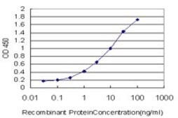 Monoclonal Anti-SREBF1 antibody produced in mouse clone 4C11, purified immunoglobulin, buffered aqueous solution