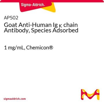 Goat Anti-Human Ig &#954; chain Antibody, Species Adsorbed 1&#160;mg/mL, Chemicon&#174;