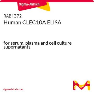 Human CLEC10A ELISA for serum, plasma and cell culture supernatants