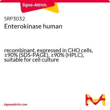 Enterokinase human recombinant, expressed in CHO cells, &#8805;90% (SDS-PAGE), &#8805;90% (HPLC), suitable for cell culture