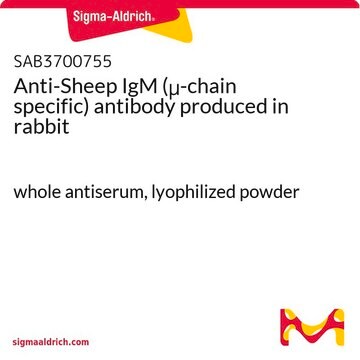 Anti-Sheep IgM (&#956;-chain specific) antibody produced in rabbit whole antiserum, lyophilized powder